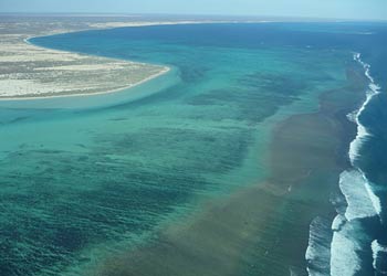 Ningaloo reef from the air