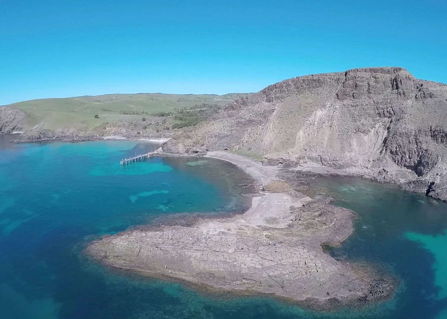 The Great Southern Reef