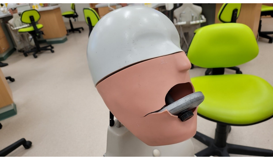 Dental Simulation Lab head with its mouth split and broken
