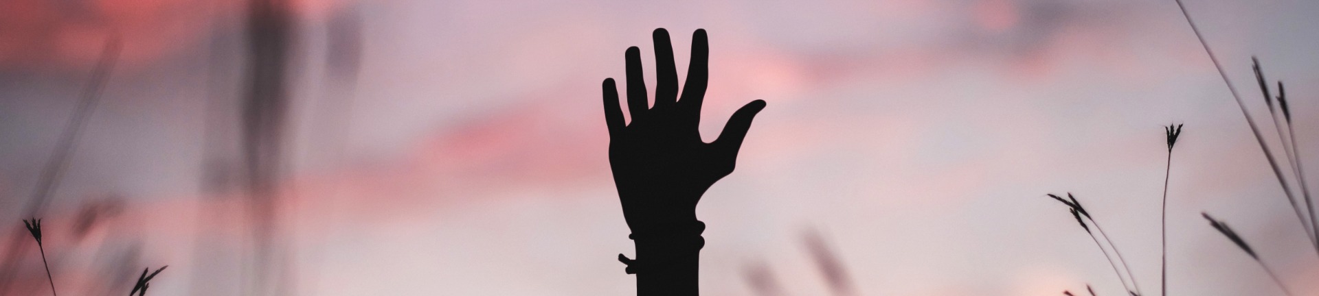 silhouette of hand against a sunset