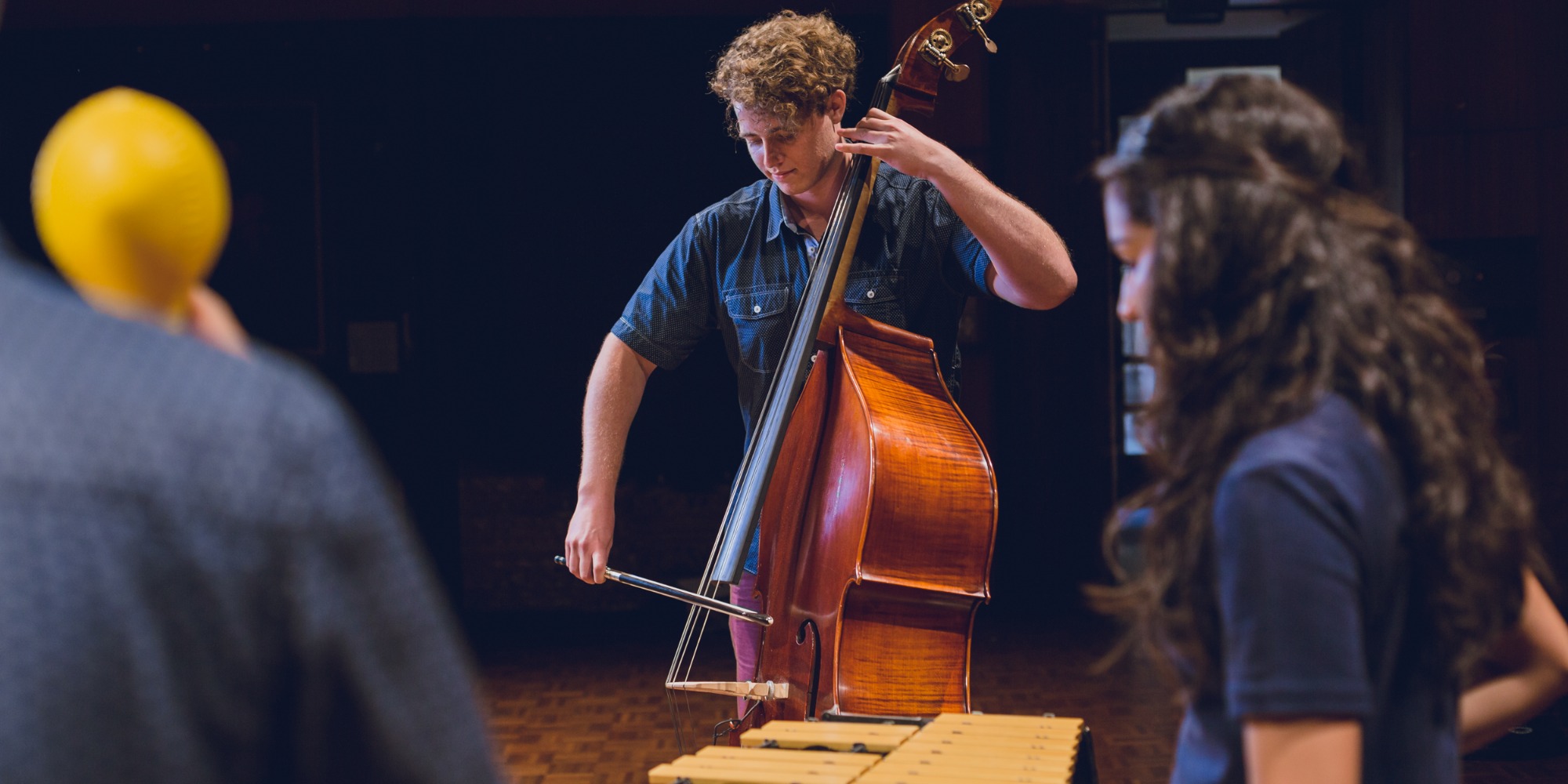 Health Education Literacy And Mobility For Musicians The University Of Western Australia