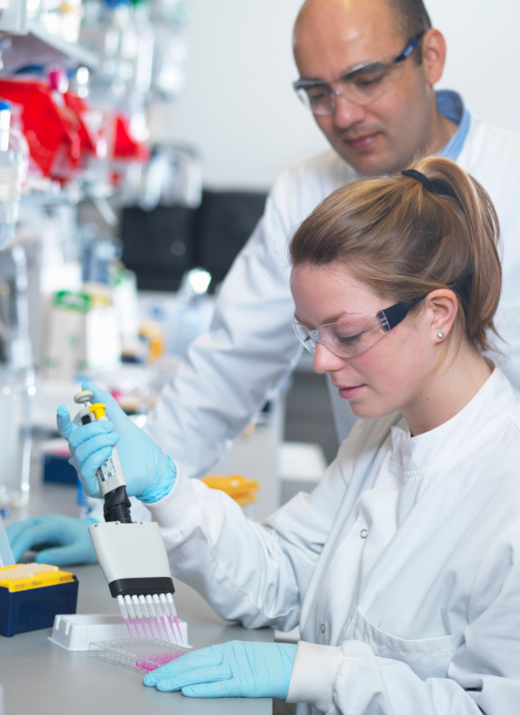 Scientist using multi-channel pipette to fill multiwell plate for analysis of antibodies