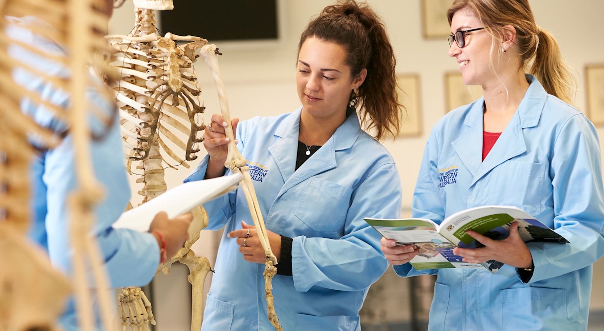 PhD students examining a skeleton