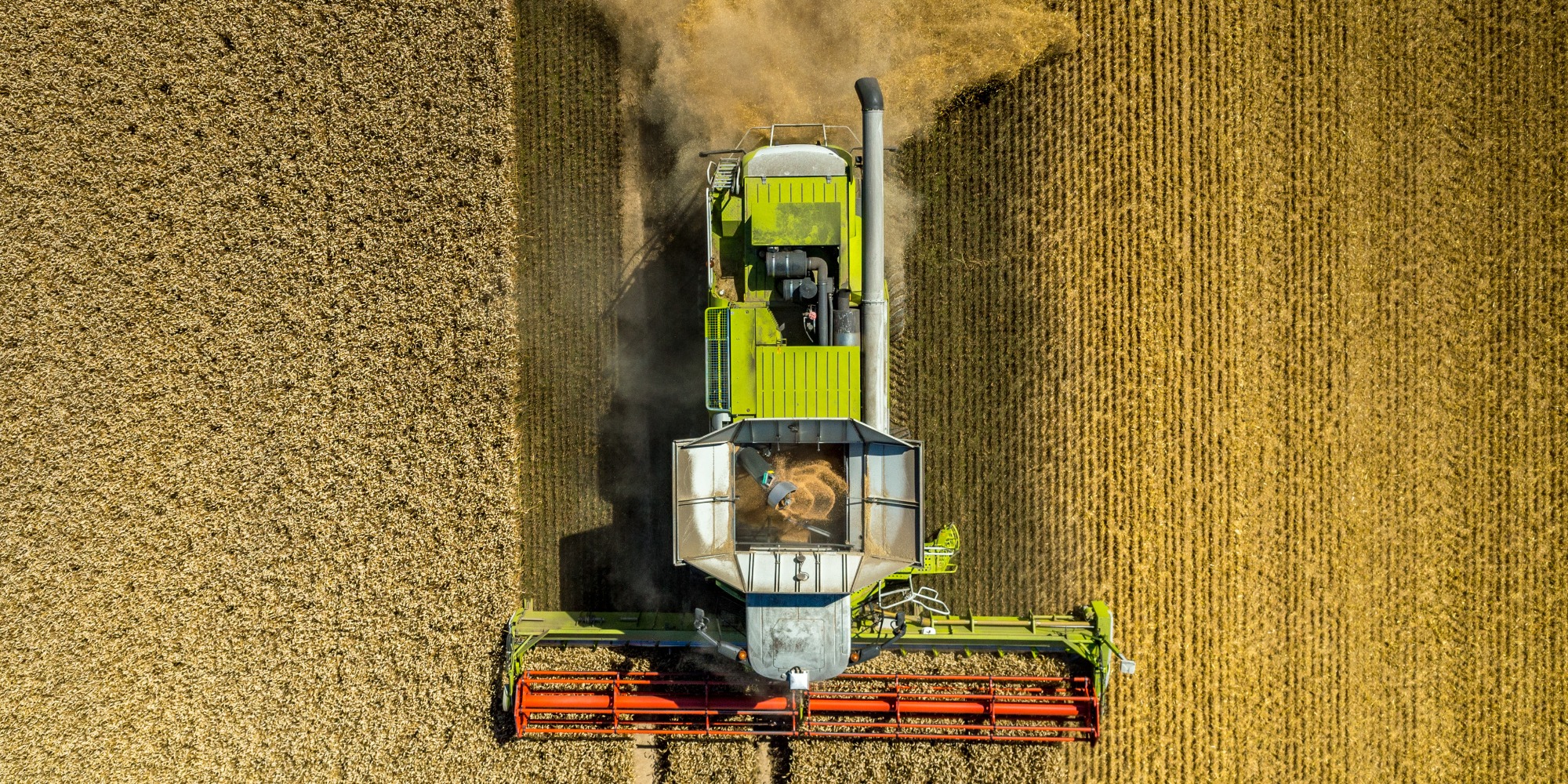 Optimising industrial hemp as a new fiber crop in evolving agriculture