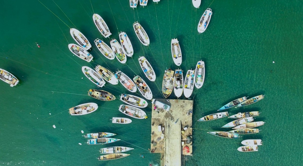 drone shot of many boats around a pier