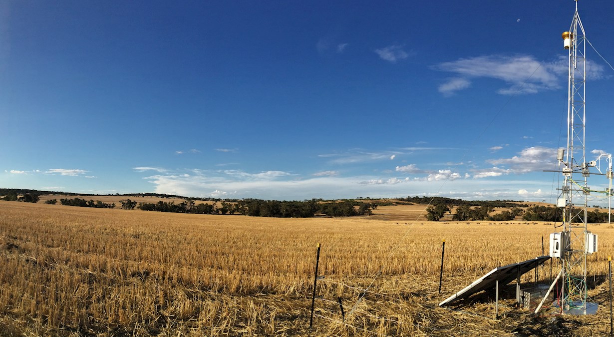 Australian wheatbelt