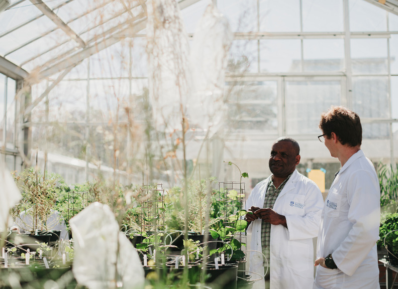 Plant Growth Facility : The University of Western Australia