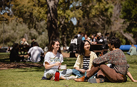 Group of students sitting on grass talking