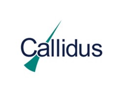 Callidus Group