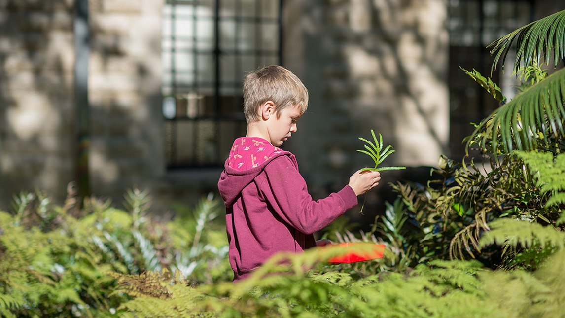 Young boy in red jumper, looking at fern plant in the Jurassic Garden