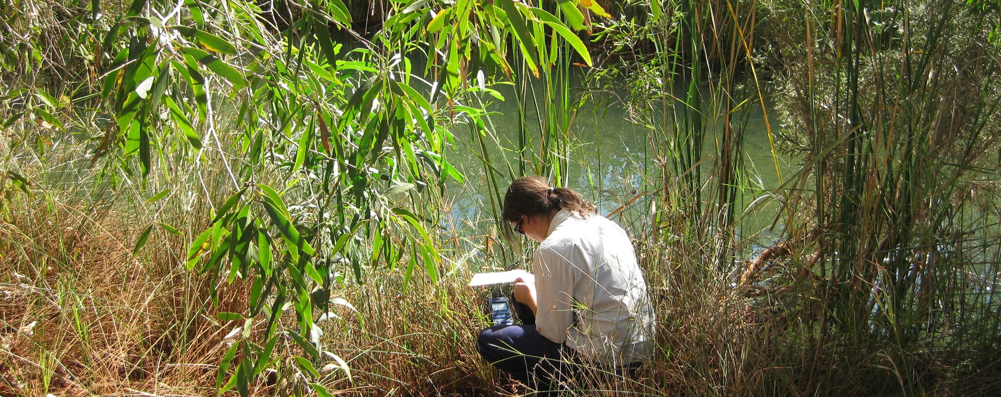 Hydrogeological scientist