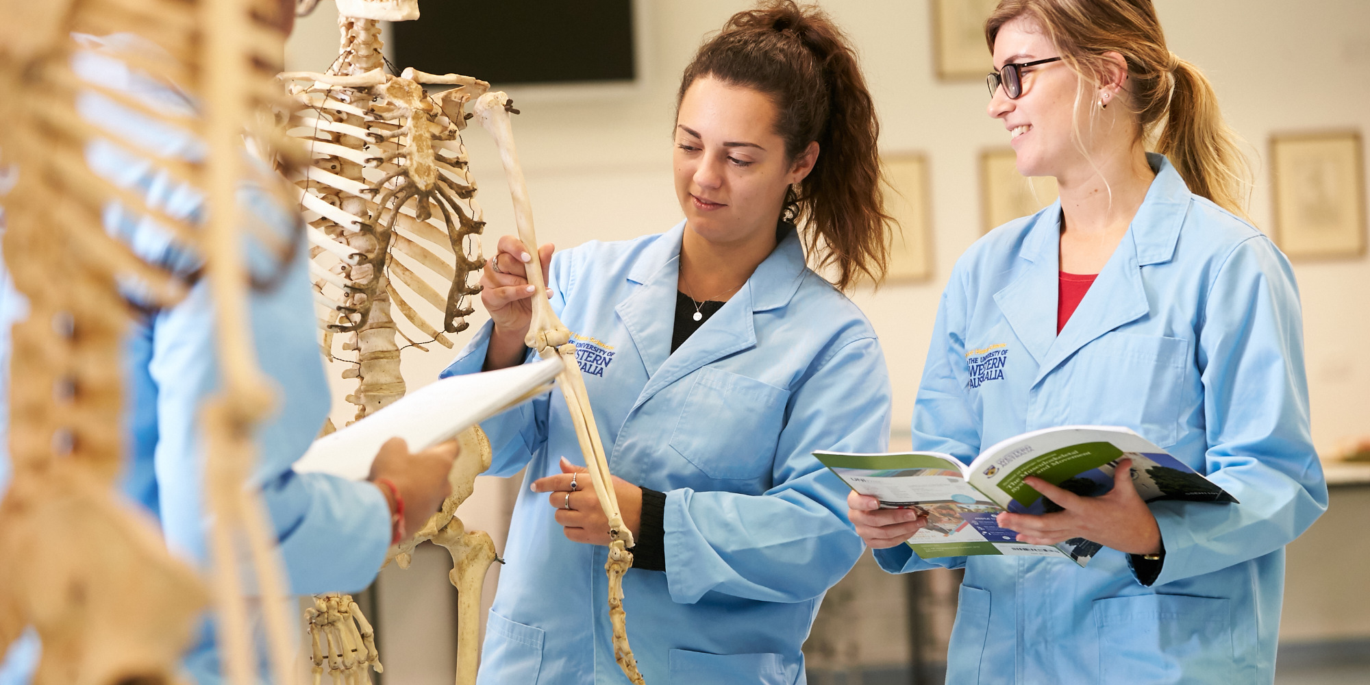 PhD students examining a skeleton