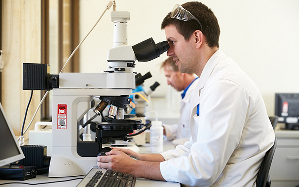 technicians looking into microscope