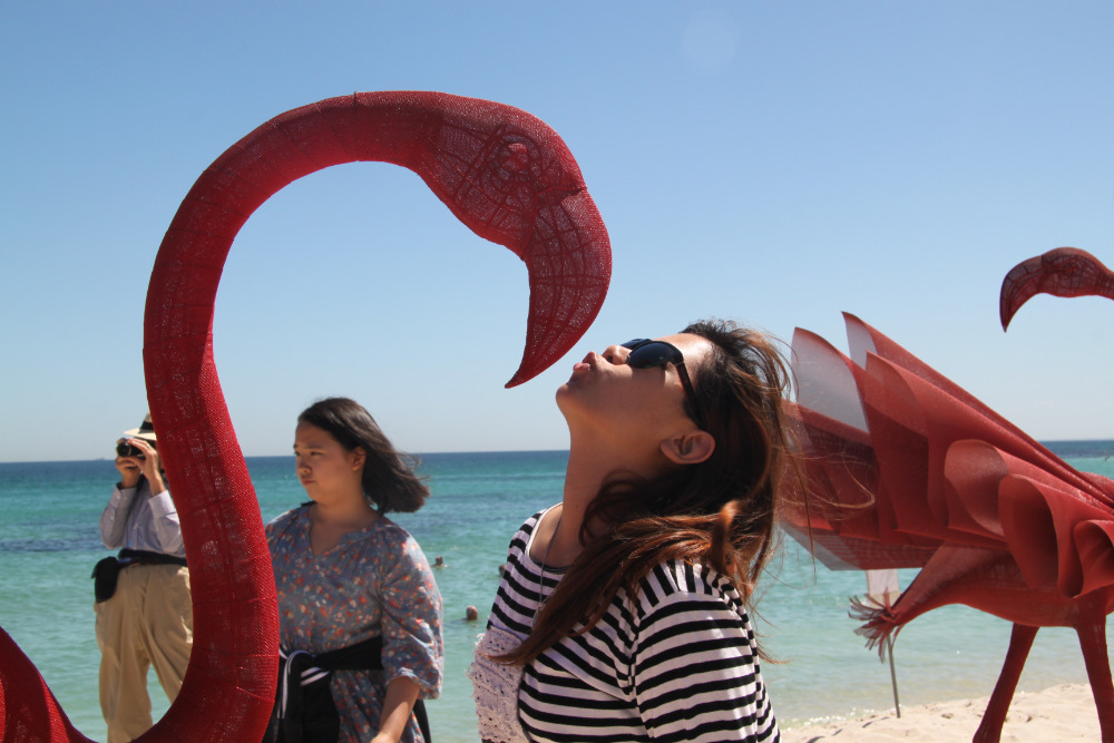 Student interacting with flamingo sculpture at Cottesloe beach