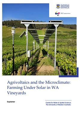 Agrivoltaics and the Microclimate:  Farming Under Solar in WA  Vineyards