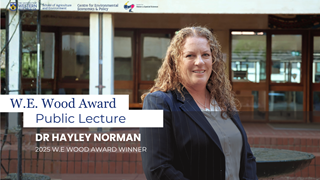 This is an image card of the wood award 2025