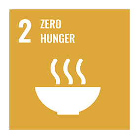 Icon for goal for zero hunger