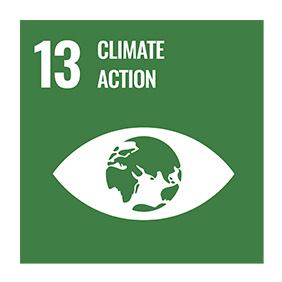 Icon for goal of climate action