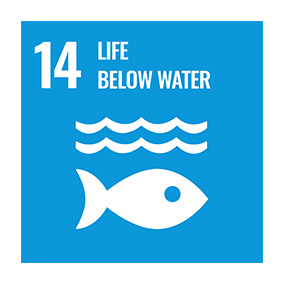 Icon for goal of life below water