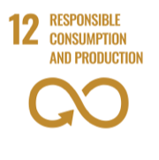 12 Responsible consumption and production