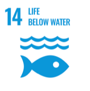 13 climate action