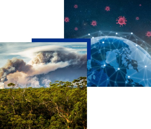 forest and globe images