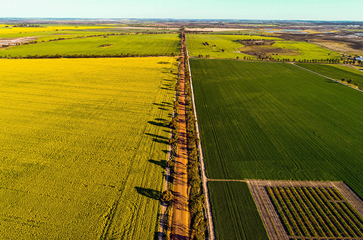 drone image of farm lands