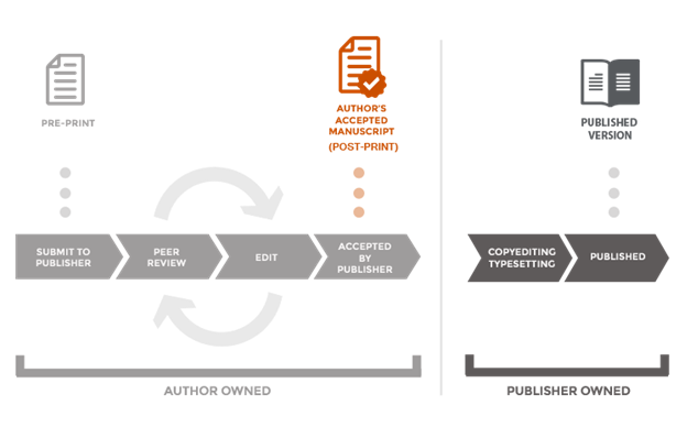 Infographic of publication versions produced during the publication process