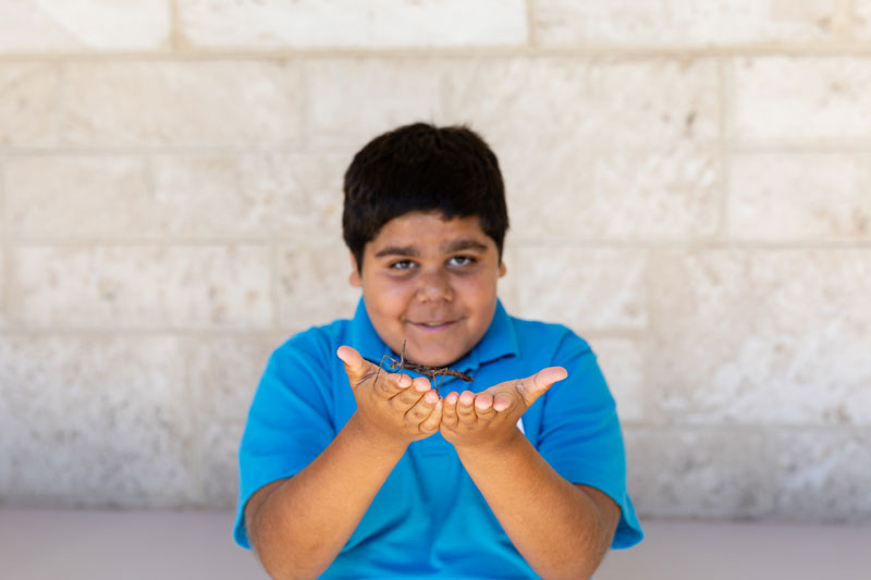 A male primary school student holds up a stick insect in his hands towards the camera