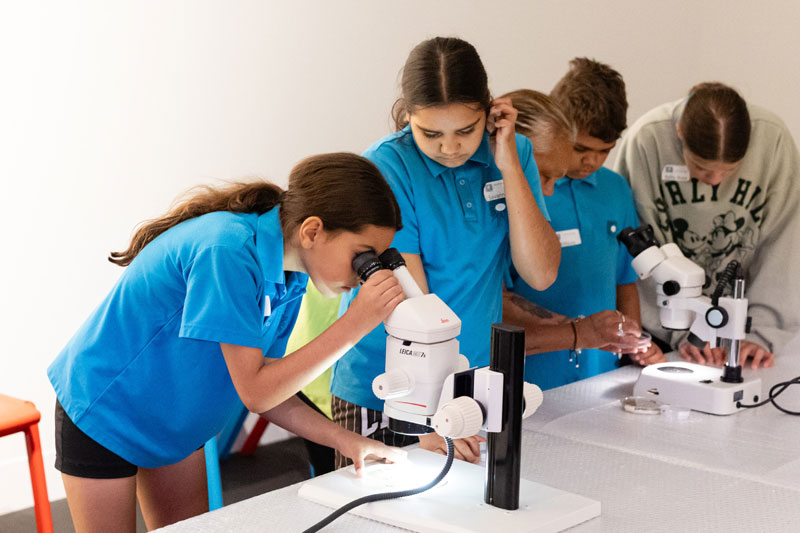 A group of female school students look through a microscope