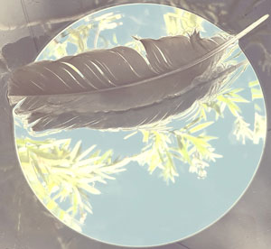 Crow feather resting on a mirror reflecting leaves from a tree above