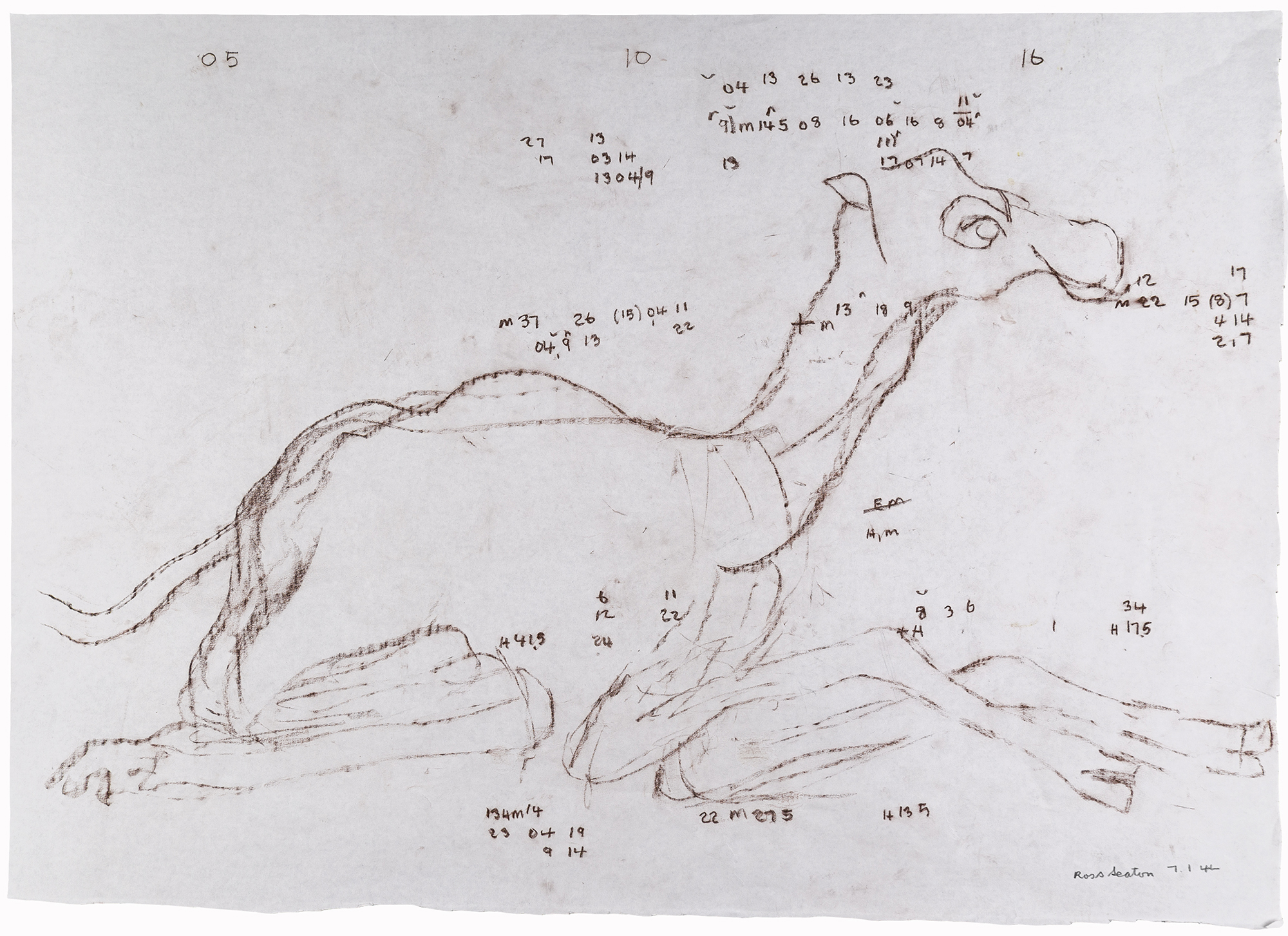 Drawing in brown pencil of a camel seated in an unidentifiable landscape with numbers and letters scattered across the paper