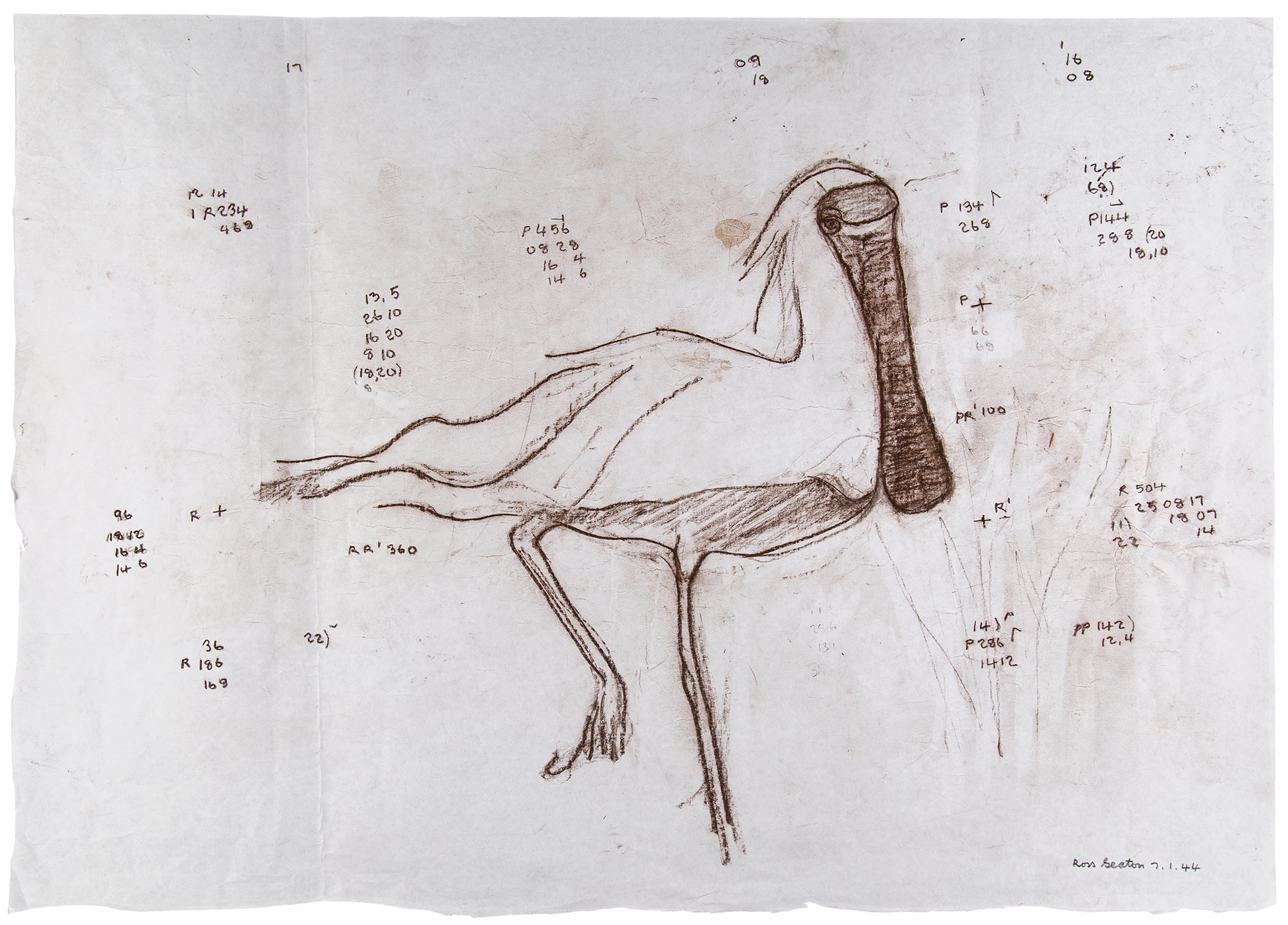 Drawing in brown pencil of a spoonbill on cream paper with numbers scattered across the paper