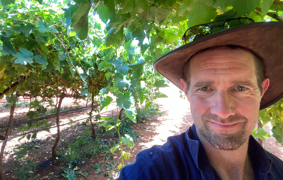 UWA Associate Professor Michael Considine pictured among table grapevines.