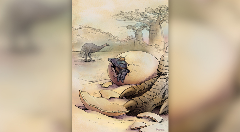 Artist impression pf elephant bird hatching