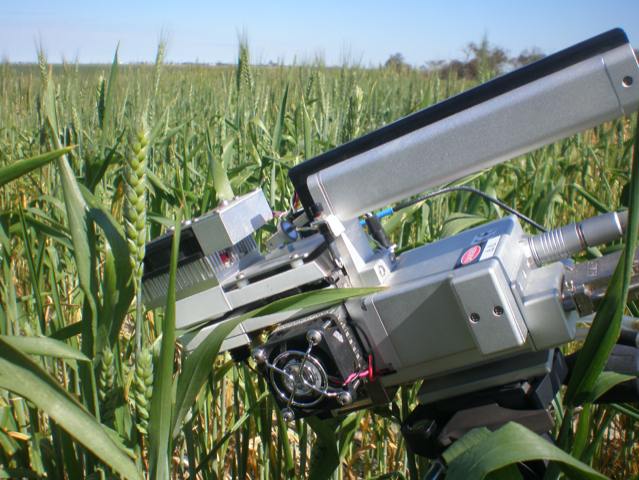 Physiological phenotyping of photosynthesis in the field, using a LICOR Biosciences 6400XT. Credit - Dr Taylor