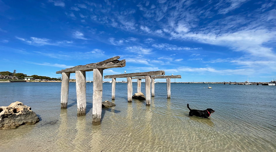 Dog jetty