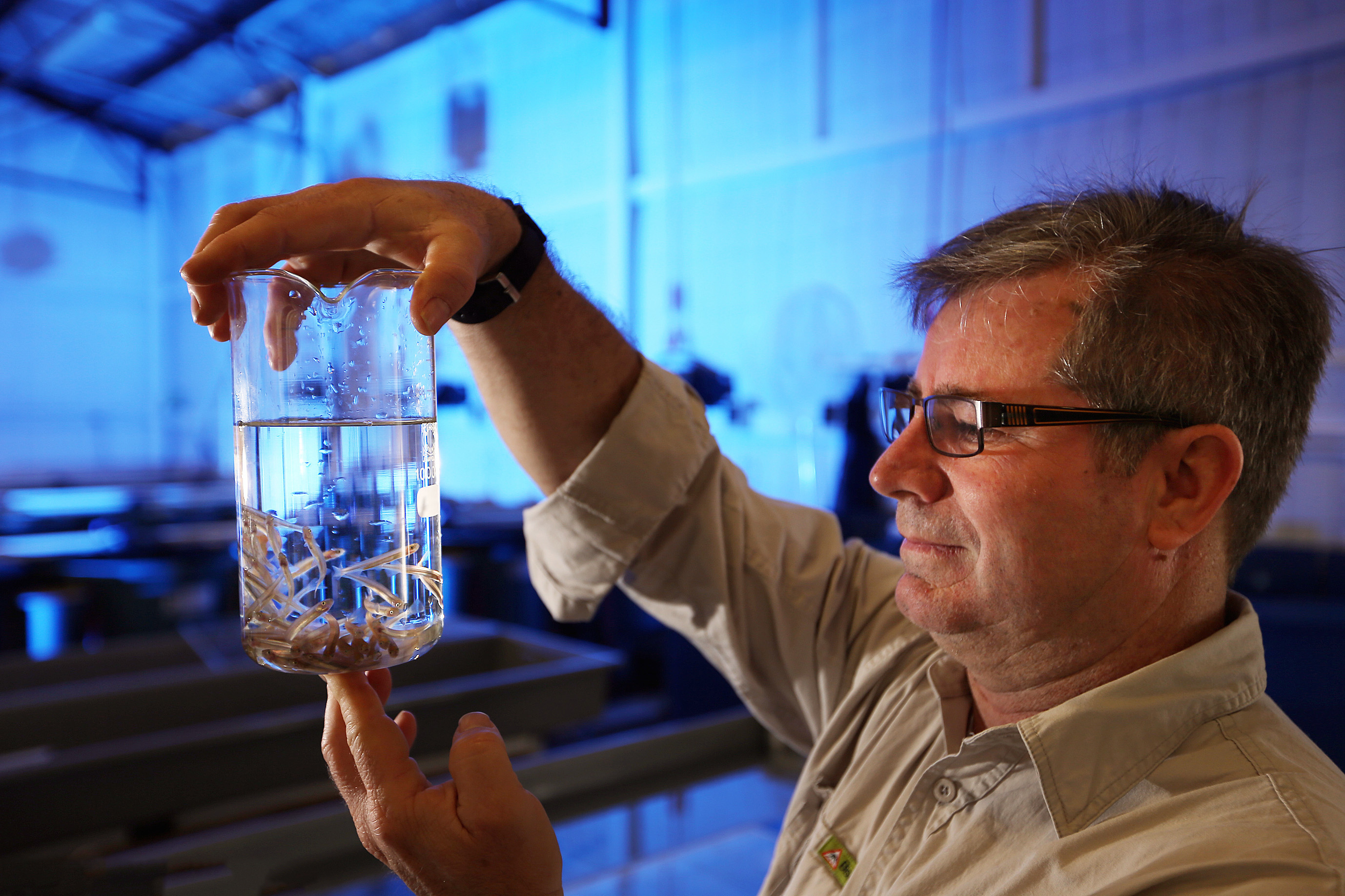 Dr Craig Lawrence at the Aquaculture Facility at the UWA Shenton Park Field Station. Credit Community Newspaper Group
