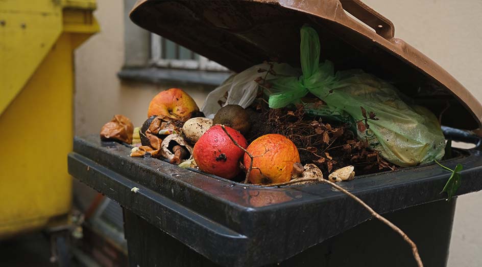 fruit and vegetables in rubbish bin