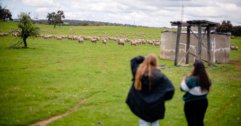 Sam Lloyd on farm