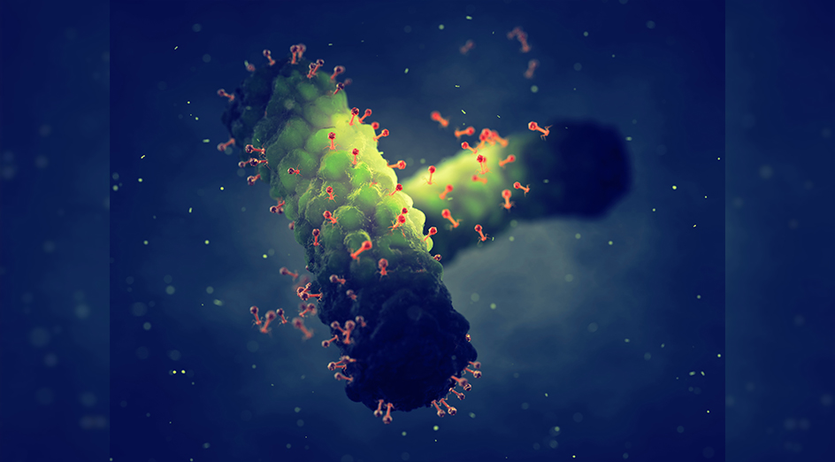 Graphic of bacteriophage