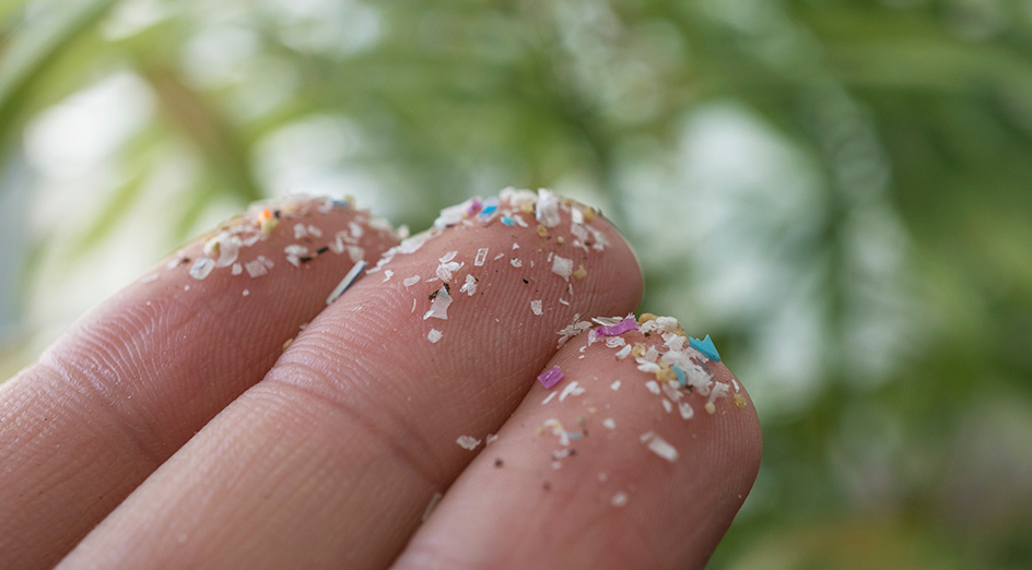 Person holding small bits of plastic