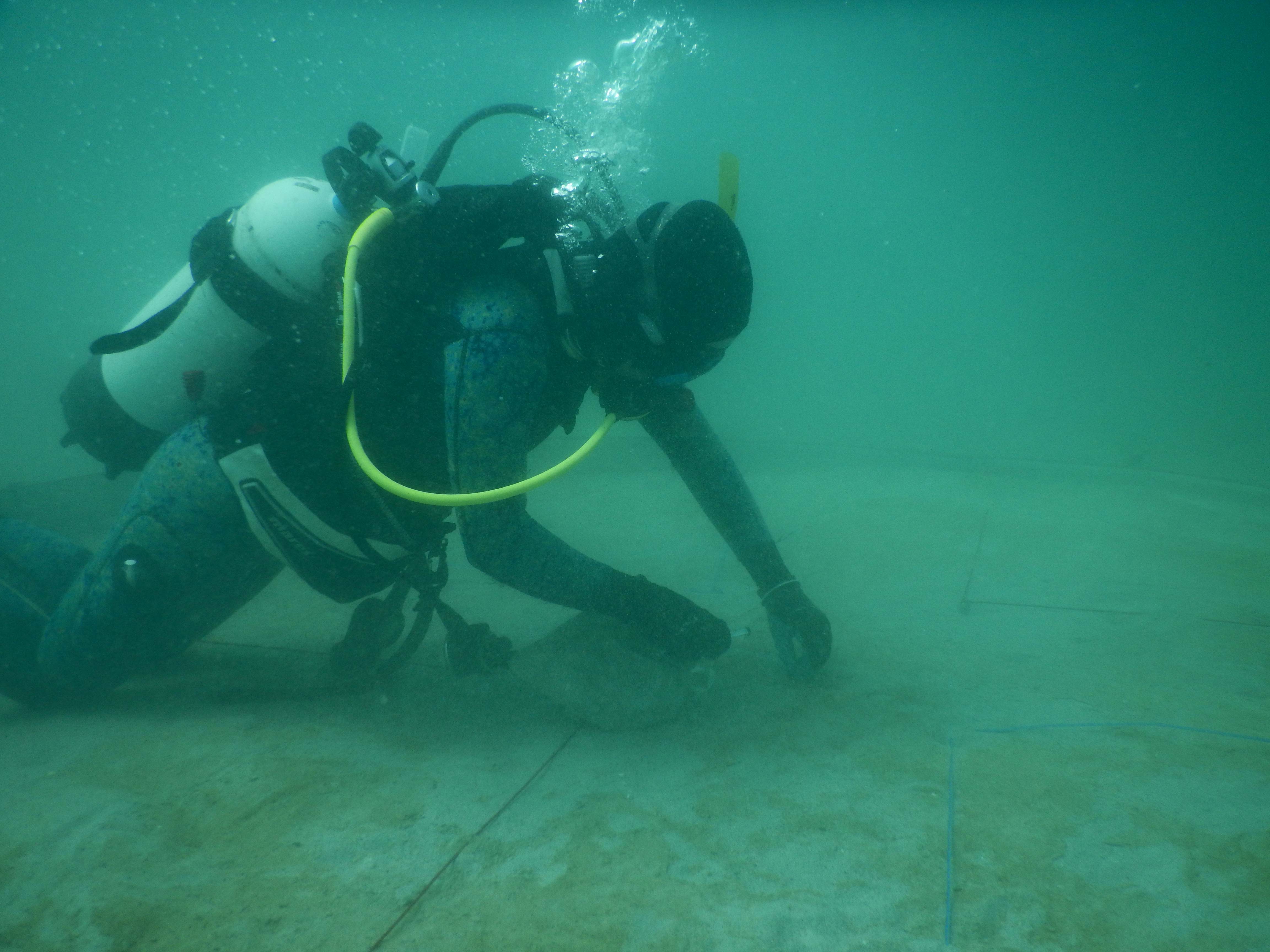 Diver sediment capping