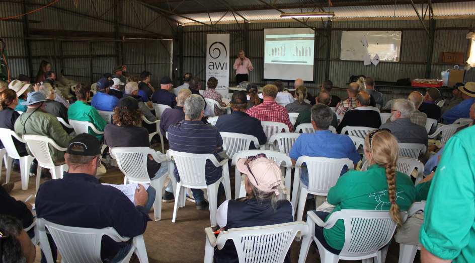 Watching Dr Bronwyn Clarke present in Avery's Sheering Shed.