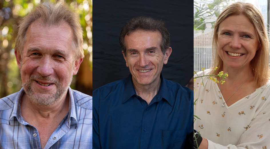 Three of our 2024 Highly Cited researchers