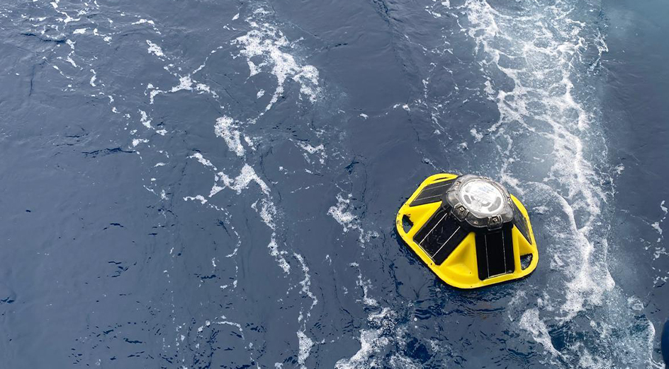 Wave buoy in water