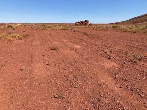 Emergence Ecotech degraded land 20 months post-seeding comparison