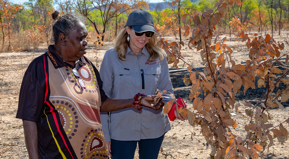 Jawoyn Traditional Owner Bessie Coleman and UWA Associate Professor Samantha Setterfield and working on fire management in Kakadu National Park, NT 