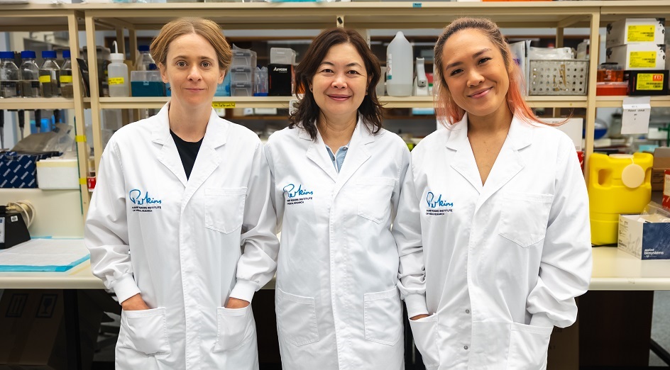 Image of Purdey Campbell, Kathy Zhu and Shelby Mullin
