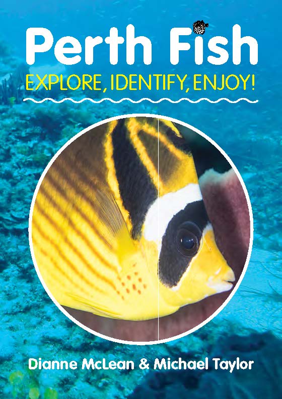 Perth Fish Book cover